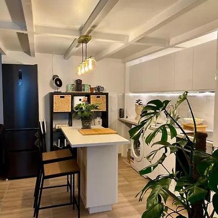 Lejlighed Duplex In Heart Of Paris